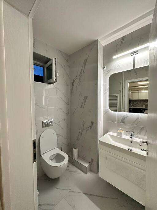 Ultracentral Luxury Apartament Τιμισοάρα Εξωτερικό φωτογραφία