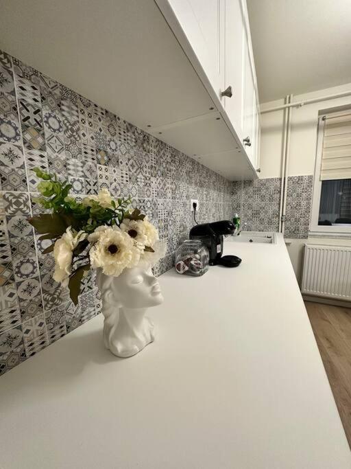 Ultracentral Luxury Apartament Τιμισοάρα Εξωτερικό φωτογραφία
