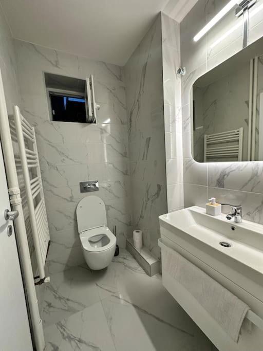 Ultracentral Luxury Apartament Τιμισοάρα Εξωτερικό φωτογραφία